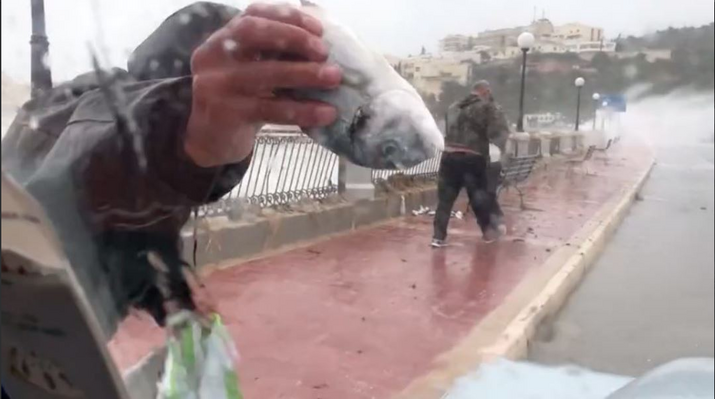 Miniatura: „Połów” ryb na ulicach Malty. To efekt...