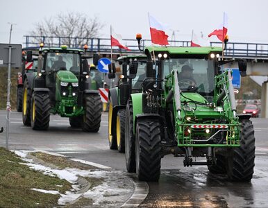 Miniatura: Dwa lata wojny w Ukrainie. „Siano we łbie....