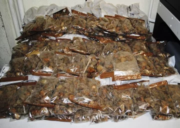 W samochodzie dokonano specjalnych przeróbek konstrukcyjnych 