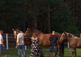 Miniatura: Tego jeszcze nie było w „Rolniku”. Basia w...