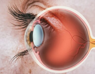 Miniatura: Ból oka – co oznacza, objawy towarzyszące,...