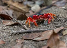 Miniatura: 10 pytań z wiedzy ogólnej. Rozstrzygnij:...