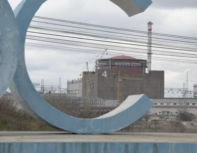 Miniatura: Miasto już ewakuowane, teraz okupanci chcą...