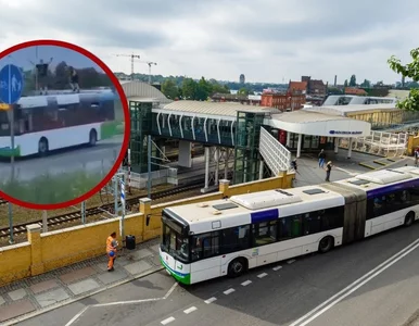 Miniatura: Skandaliczne zachowanie w Szczecinie....