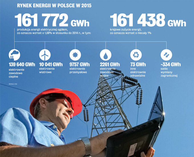 Rynek Energii w Polsce w 2015