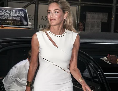 Miniatura: Sharon Stone odbierze w Warszawie...