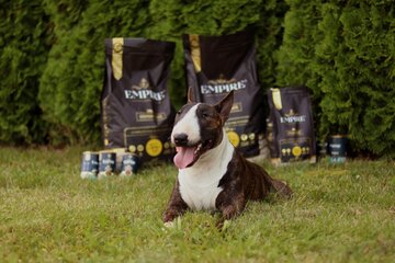Empire Super Petfood to&nbsp;naturalna kompozycja wyselekcjonowanych składnik&oacute;w. Hipoalergiczna formuła karm nie&nbsp;zawiera zb&oacute;ż
