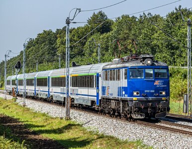 Miniatura: PKP szykuje rewolucję. Tak będą wyglądały...