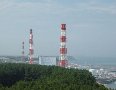 Miniatura: Zakaz lotów wokół Fukushimy