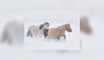 Ojmiakon -  światowy biegun zimna 