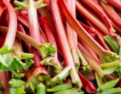 Miniatura: Myślisz, że odróżniasz owoce od warzyw?...