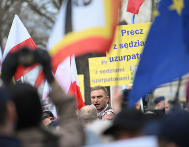 Miniatura: Bąkiewicz i Szafarowicz wzywają przed TK....