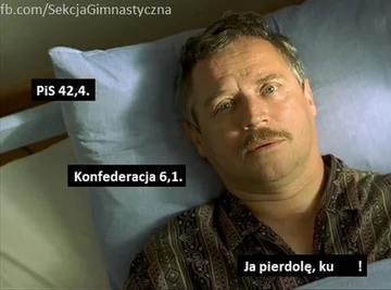 Mem po wyborach do PE 