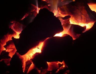 Miniatura: Niemcy będą wydobywać węgiel w Mongolii