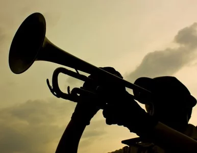 Miniatura: "Koko Euro spoko" na trąbce w Łodzi....