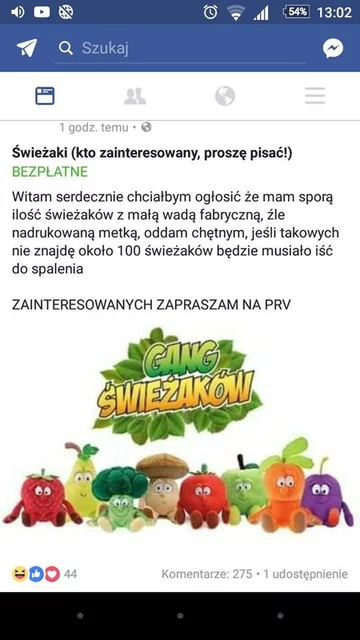 Internetowa oferta związana ze Świeżakami 