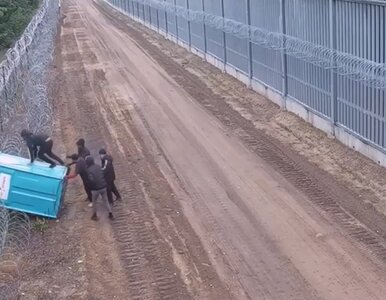 Miniatura: Kuriozalna próba wtargnięcia do Polski....