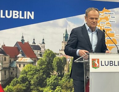 Miniatura: Tusk do polskiego eurokomisarza: Chłopie,...