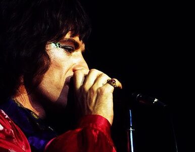 Miniatura: 4 tys. funtów za włosy młodego Micka Jaggera