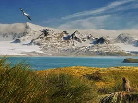 Miniatura: Podróżnik znalazł „klejnot oceanu”. To...