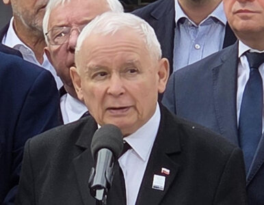 Miniatura: Kaczyński mówił o „śmieciach”, aktywista...
