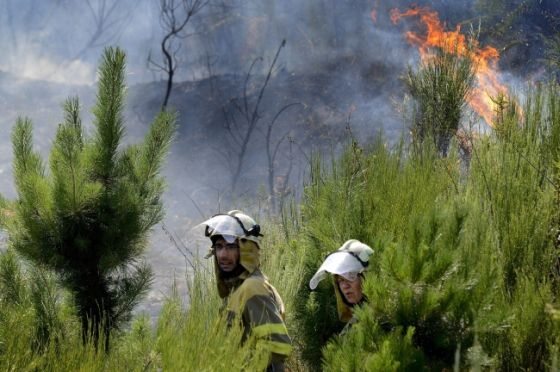 Hiszpania zmaga się z pożarami lasów (fot. PAP/EPA)