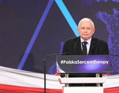 Miniatura: Jarosław Kaczyński: Mówimy „nie” euro....