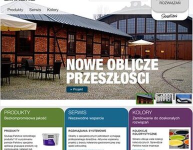 Miniatura: Nowe oblicze strony internetowej...