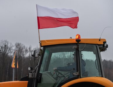 Miniatura: Rolnicy pojawią się przed siedzibą PiS?...