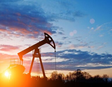 Miniatura: Ceny ropy straciły już ponad 60 proc. na...