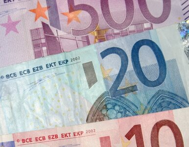 Miniatura: Raport NBP: Wejście do strefy euro to...