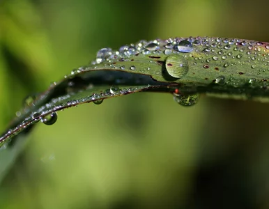 Miniatura: Polska na pogodowej huśtawce. Tak będzie...