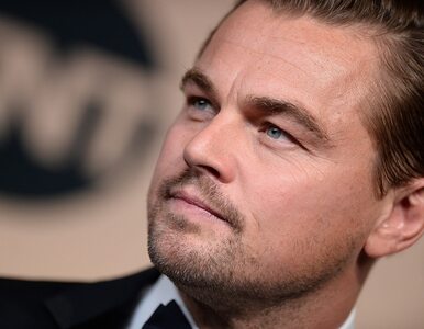 Miniatura: Rosja: Wielka zbiórka srebra dla DiCaprio....