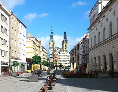 Miniatura: Dyrektor sanepidu poszedł do parku bez...