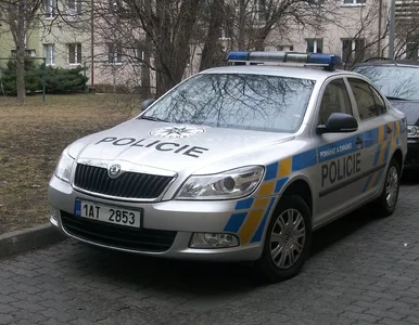 Miniatura: Policja zatrzymała patostreamera z...