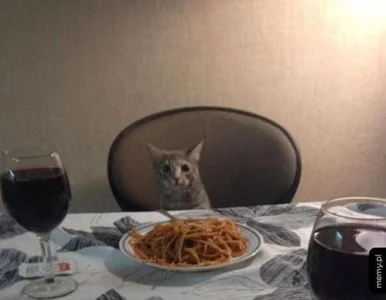 Miniatura: Coś dla zakochanych i dla singli....