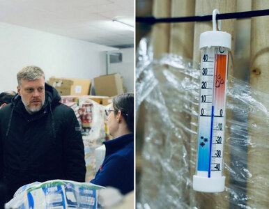 Miniatura: Wpuściła polityka na zaplecze Dino....