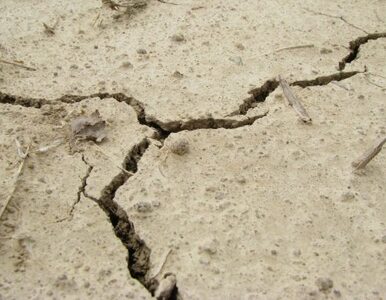 Miniatura: W Chile zatrzęsła się ziemia