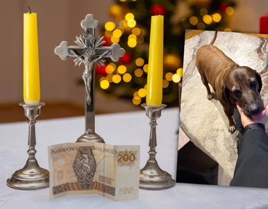 Miniatura: To nie była zwykła kolęda. Takiego...