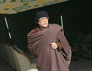 Miniatura: Kadafi twierdzi, że jest w Trypolisie i...