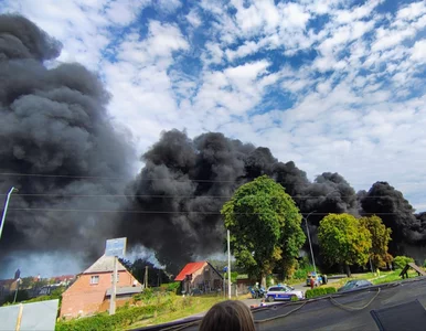 Miniatura: Gigantyczny pożar koło Szczecina. Kłęby...