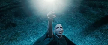 Lord Voldemort 