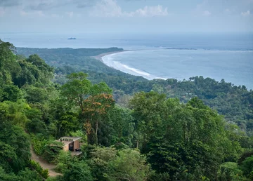 Dom w dżungli, projekt Formafatal 