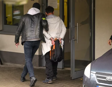 Miniatura: Puszczykowo. 42-latek usłyszał trzy...