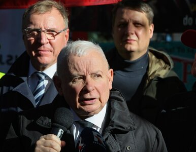 Miniatura: PiS liczy na stanowczy ruch Amerykanów....
