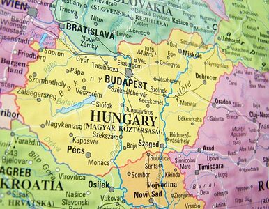 Miniatura: Węgierski rząd chce do strefy euro