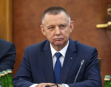 Miniatura: NIK przeprowadzi kontrole w sprawie...