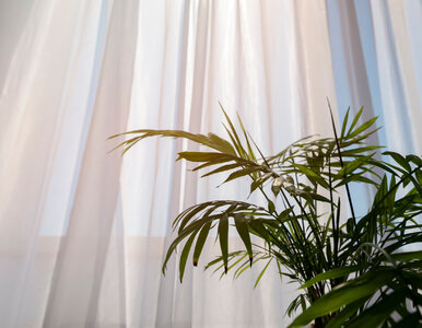 Miniatura: Masz tylko chwilę? Tym sposobem odświeżysz...