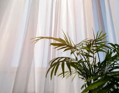 Miniatura: Masz tylko chwilę? Tym sposobem odświeżysz...