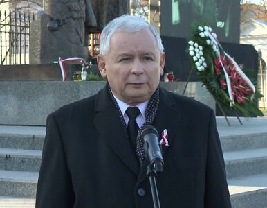 Miniatura: Kaczyński: są w Polsce siły, które...